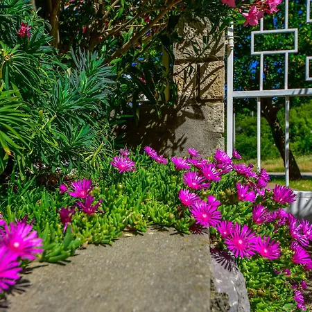 公寓 Adriana-1 By Interhome